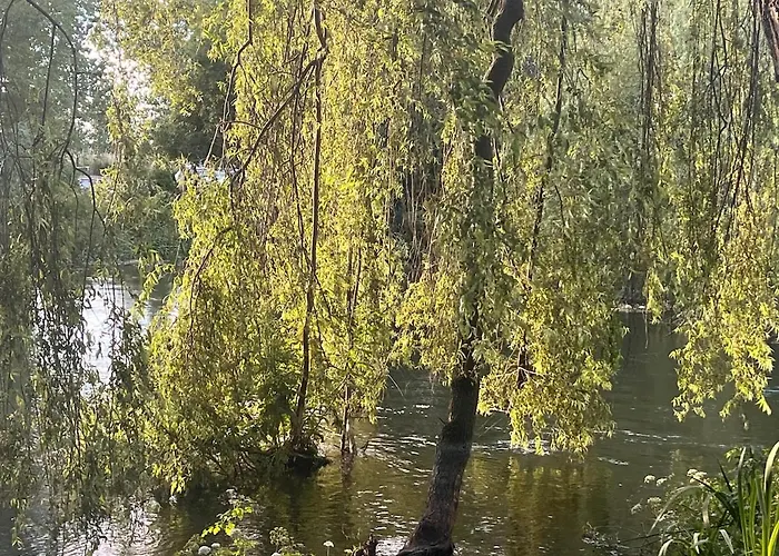 Riverside Studio