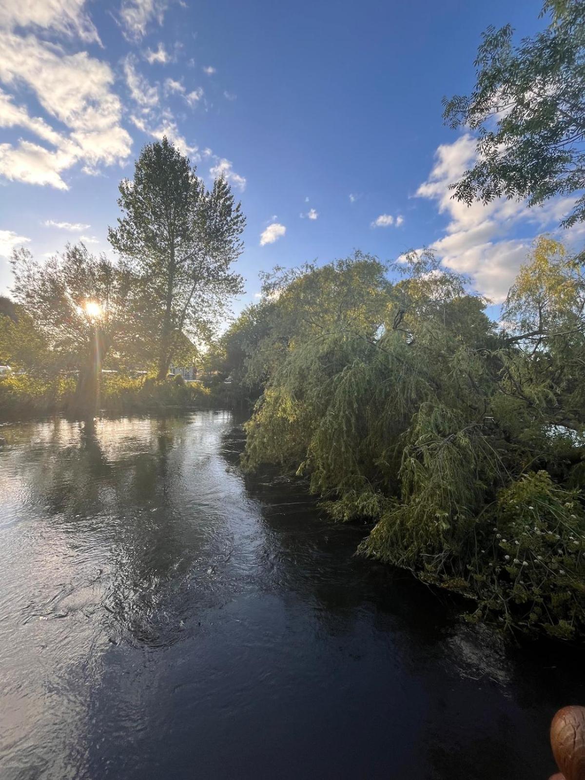 Riverside * Ringwood